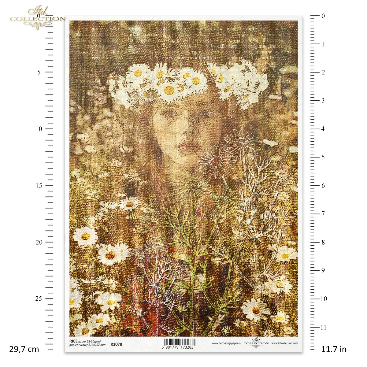 Decoupage Rice Paper - Herbalist Canvas