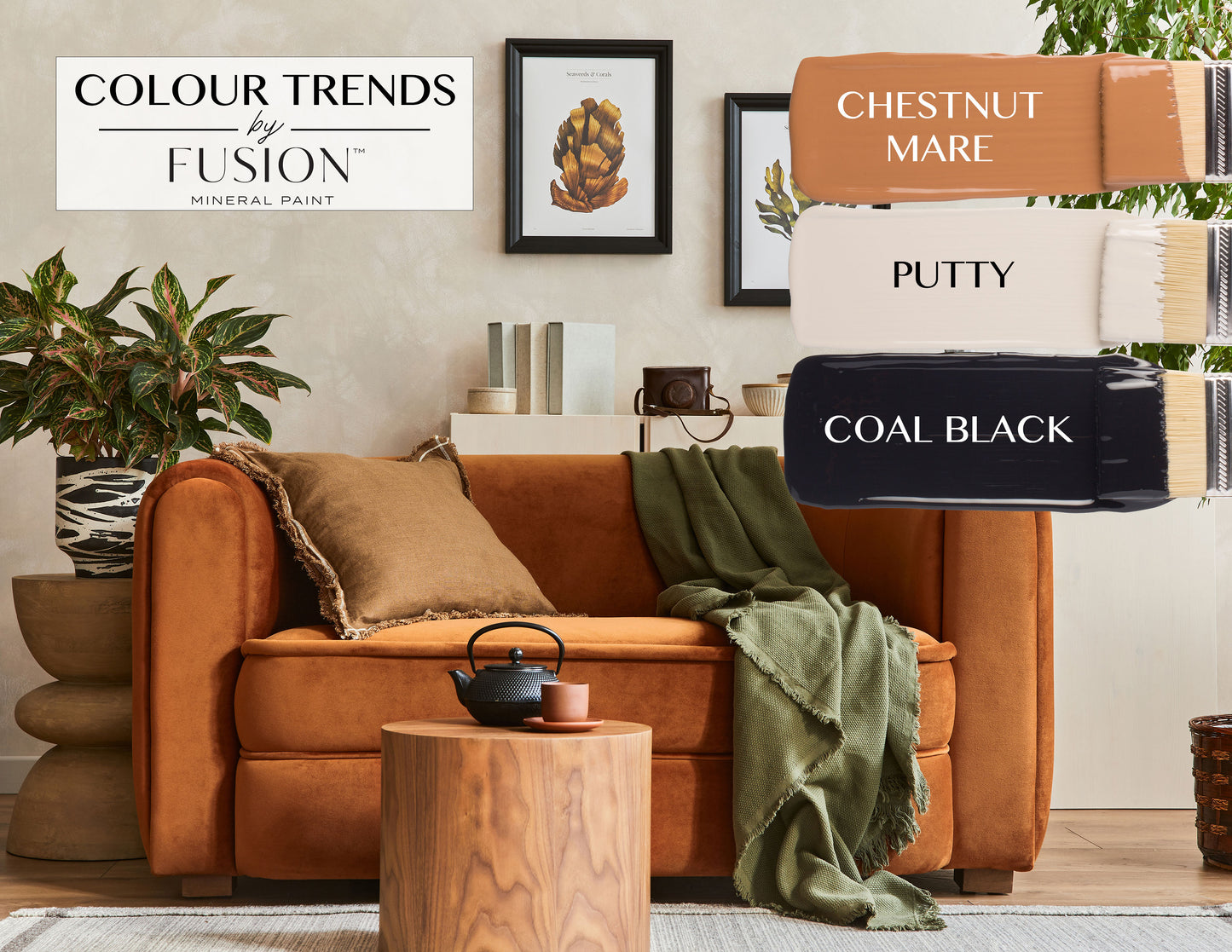 Fusion Mineral Paint 2025 Colour Trends Bundle #9