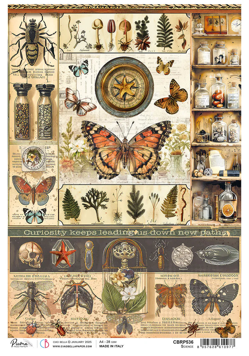Ciao Bella A4 Rice Paper - Science