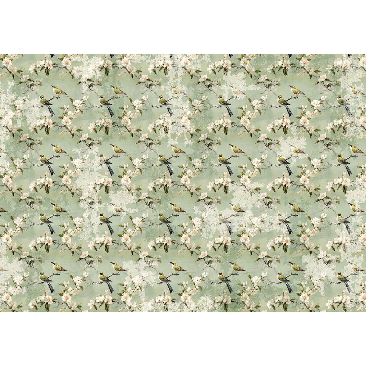 Ciao Bella Tissue Paper Paper - Asian Touch