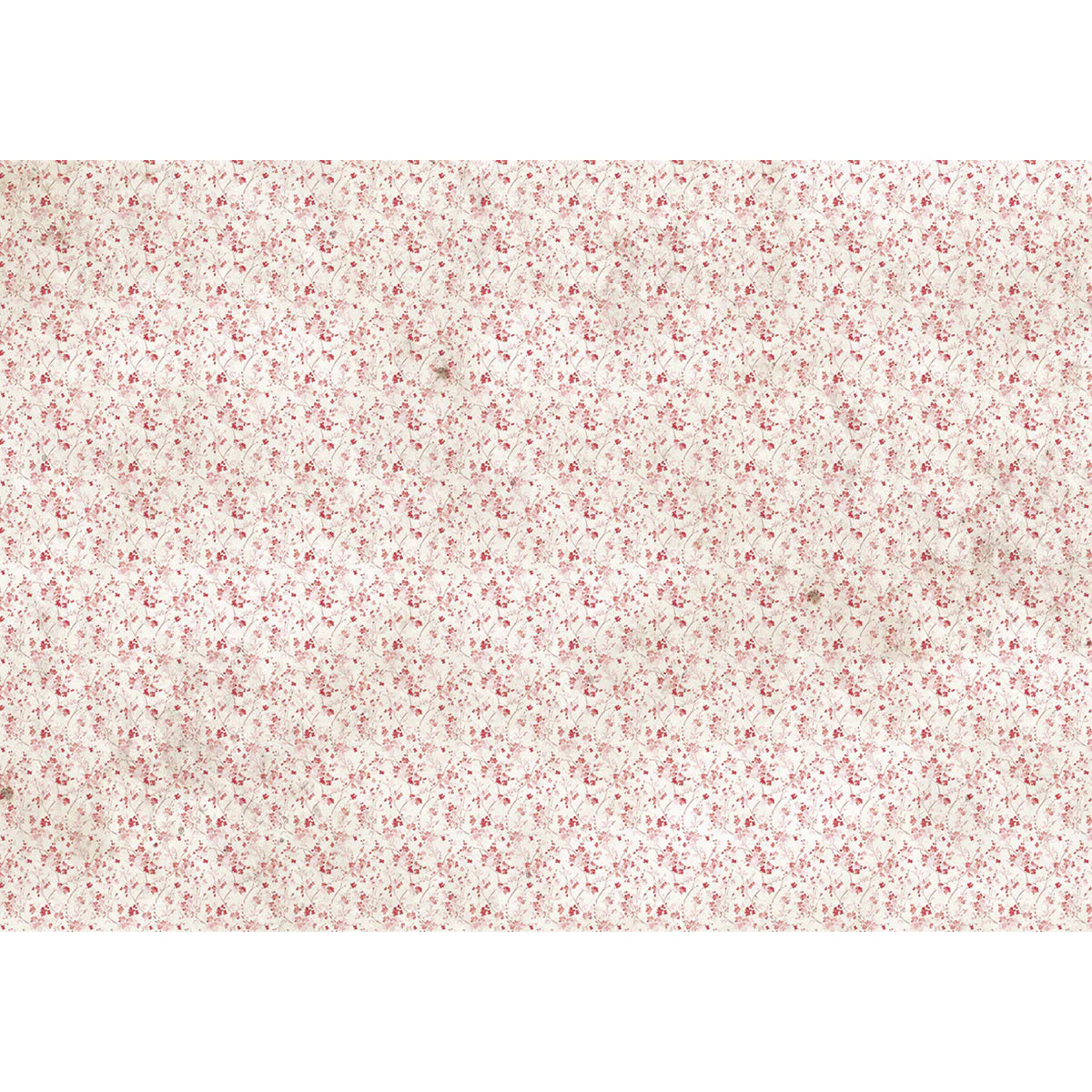 Ciao Bella Tissue Paper Paper - Liberty