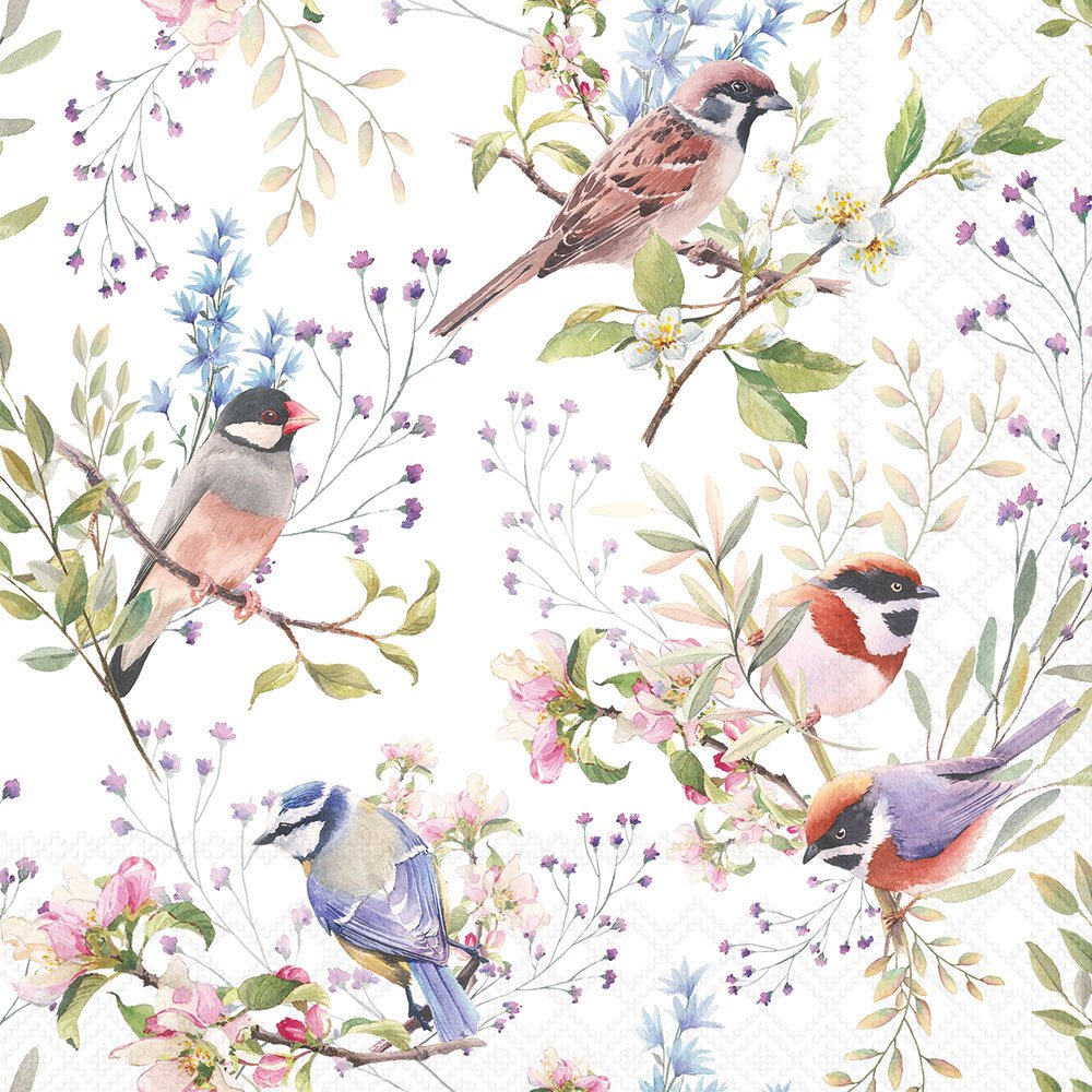 Decoupage Napkins 6.5" (2pcs)- Busy Birds