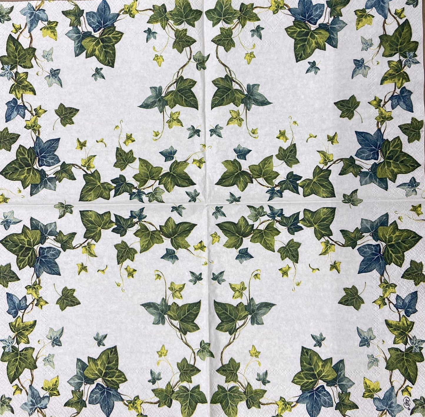 Decoupage Napkins 6.5" (2pcs)- Ivy's Dream