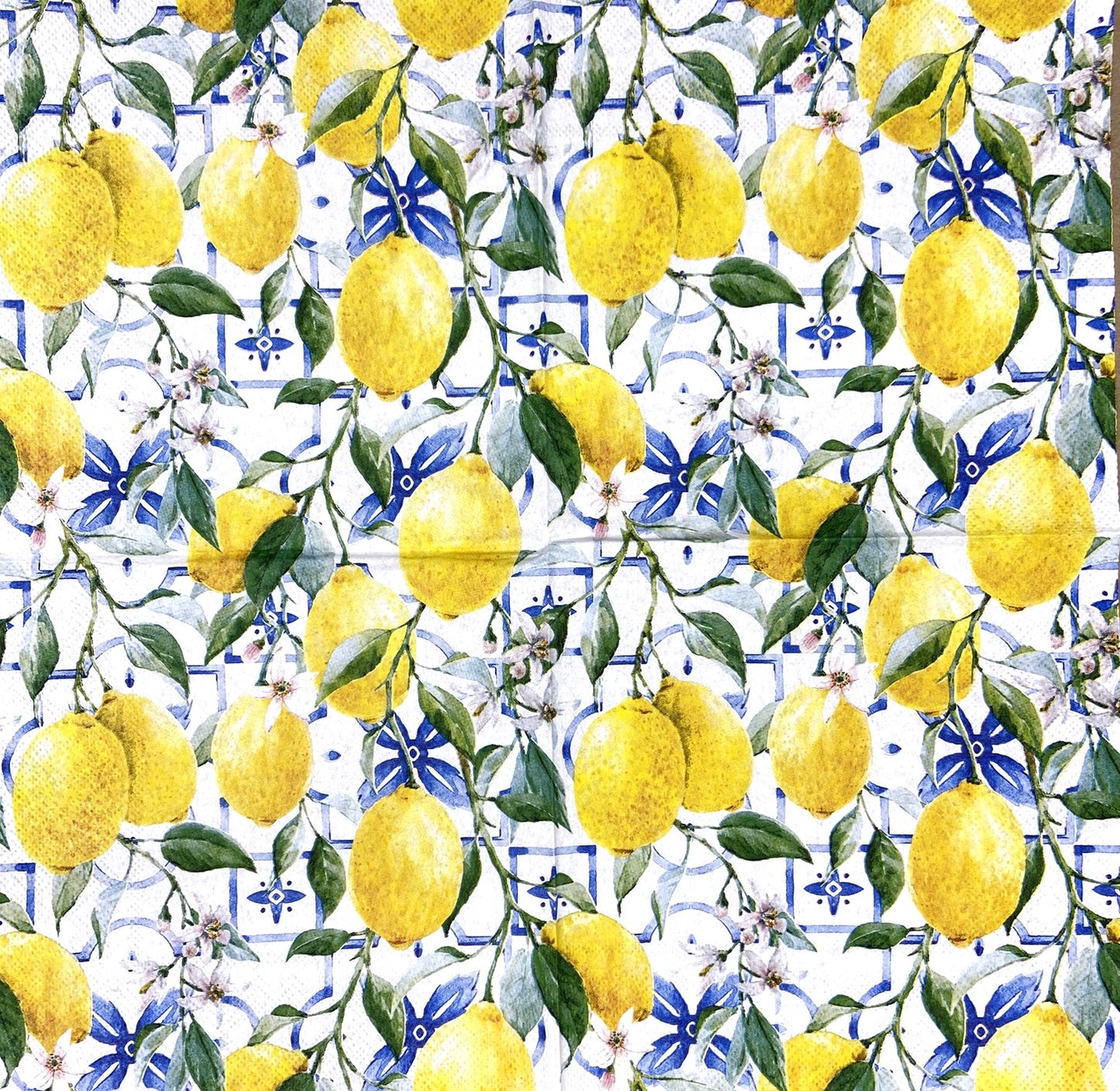Decoupage Napkins 6.5" (2pcs)- Mediterranean Lemons