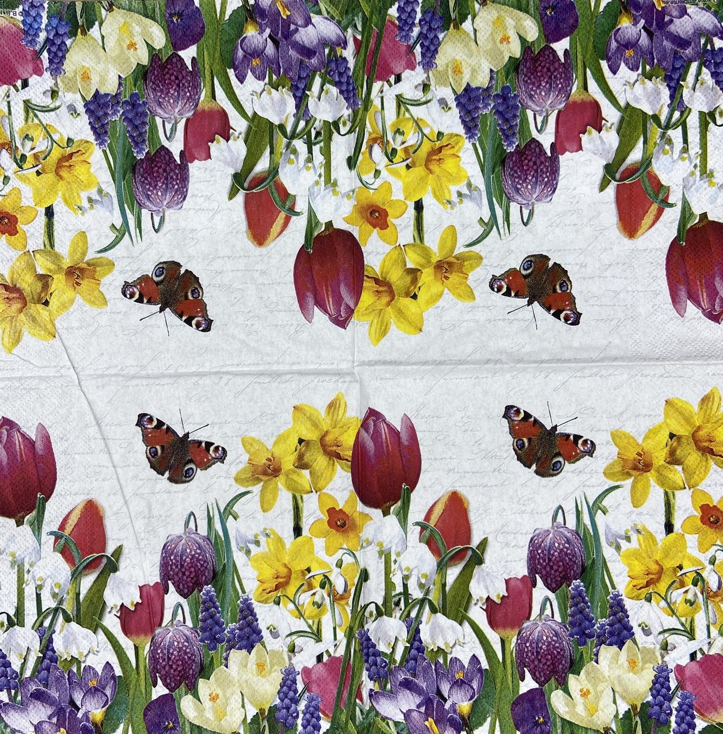 Decoupage Napkins 6.5" (2pcs)- Spring Feeling