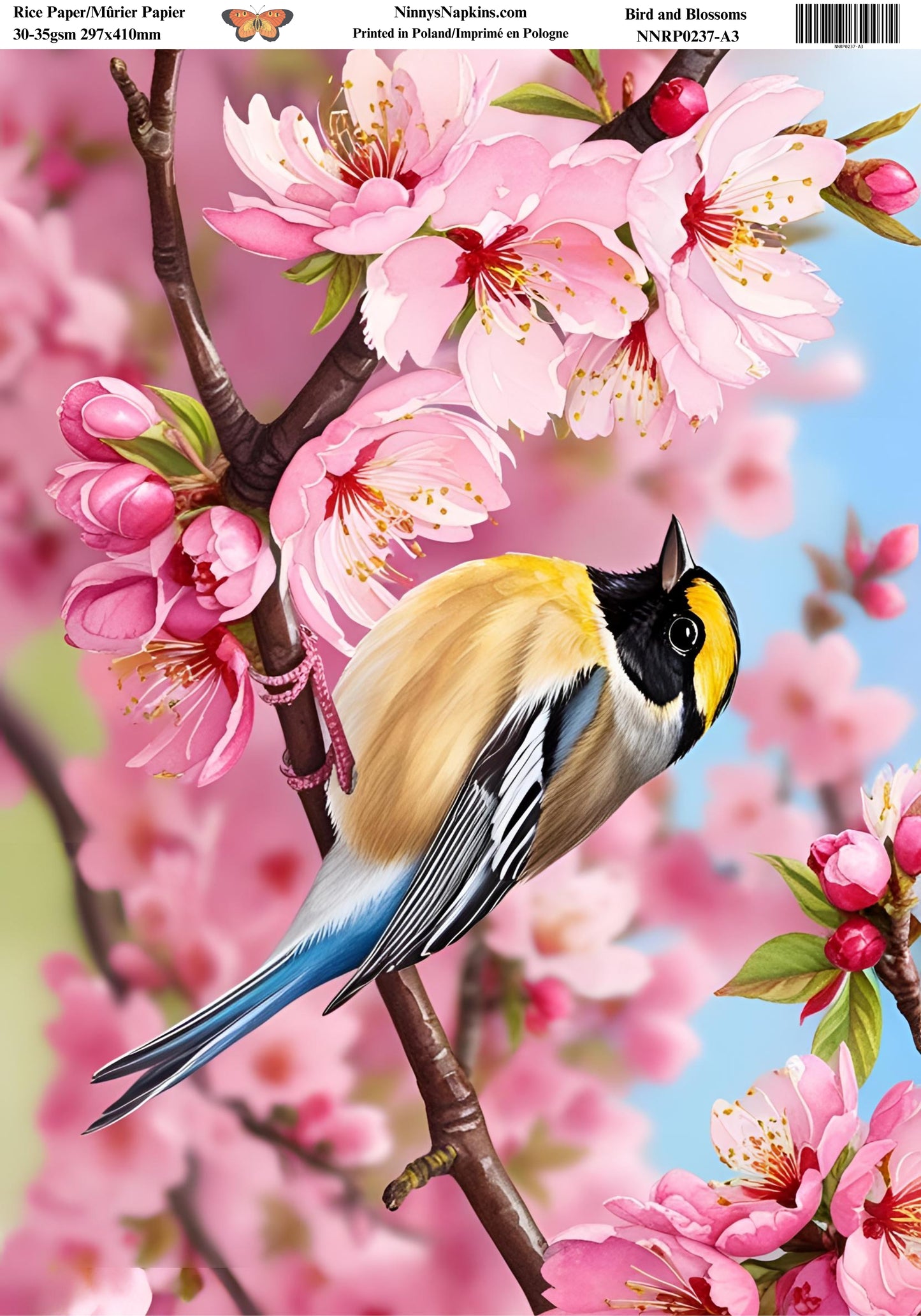 Decoupage Rice Paper - Bird and Blossom