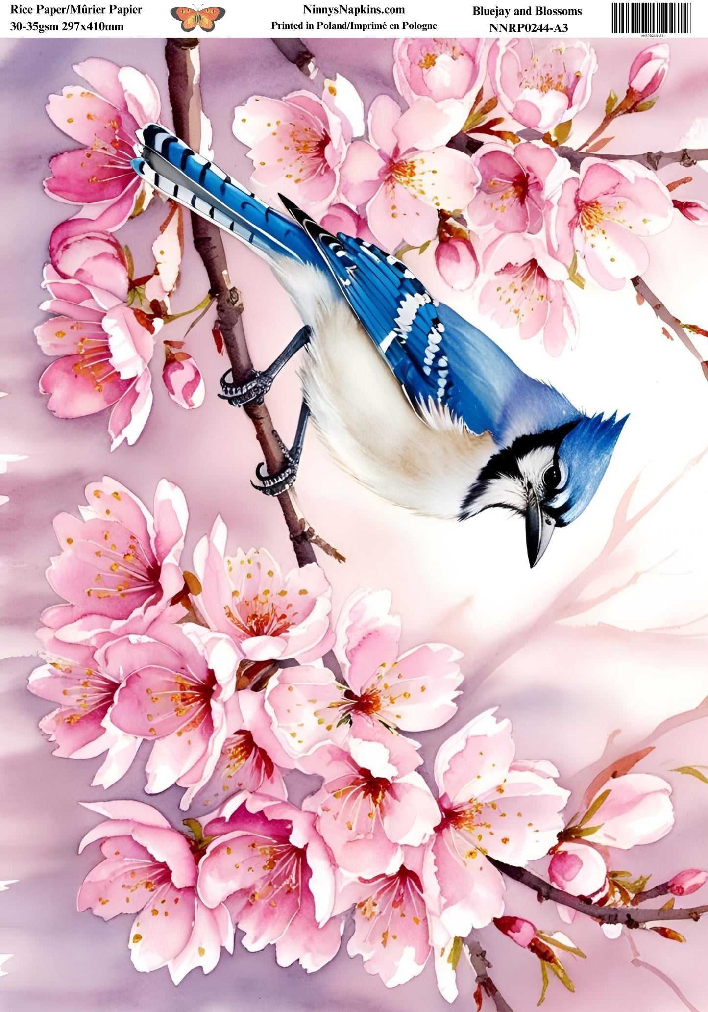 Decoupage Rice Paper - Blue Jay and Blossoms