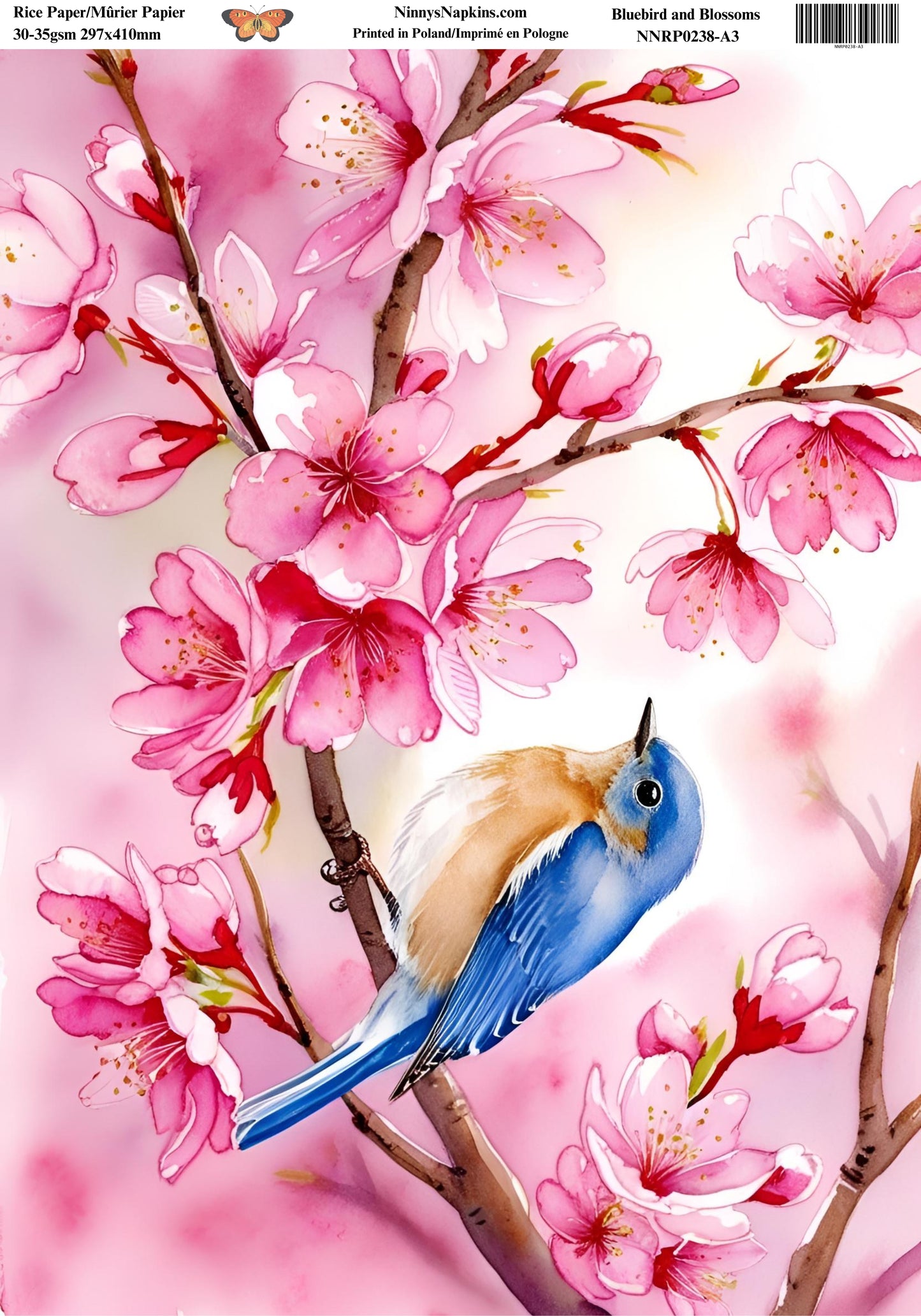 Decoupage Rice Paper - Bluebird and Blossoms