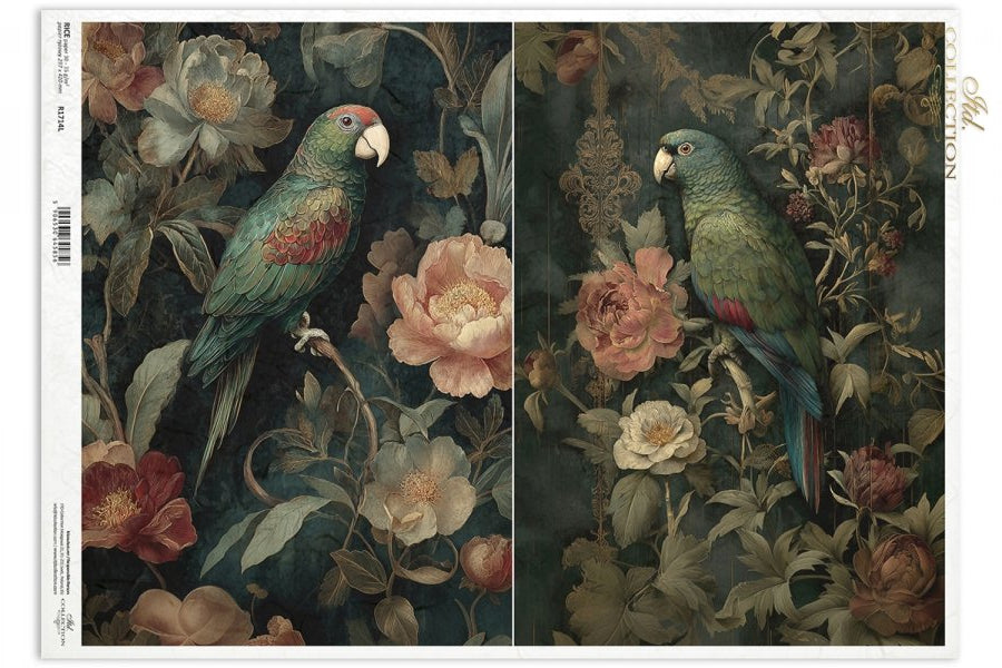 Decoupage Rice Paper - Botanical Boudoir, ParrotA3