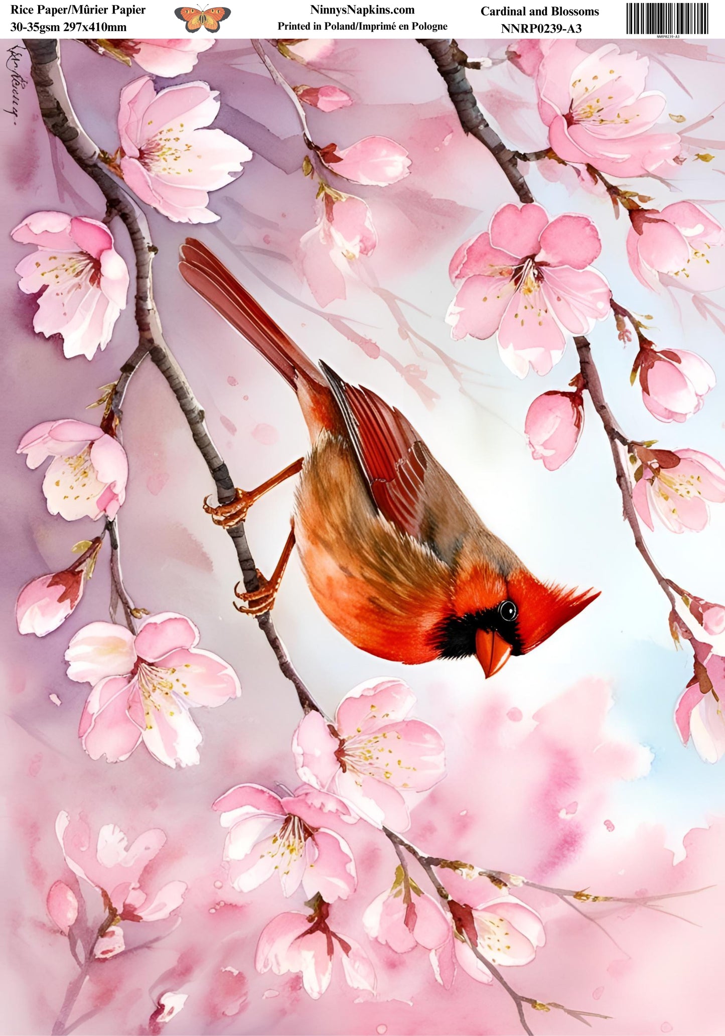 Decoupage Rice Paper - Cardinal and Blossoms