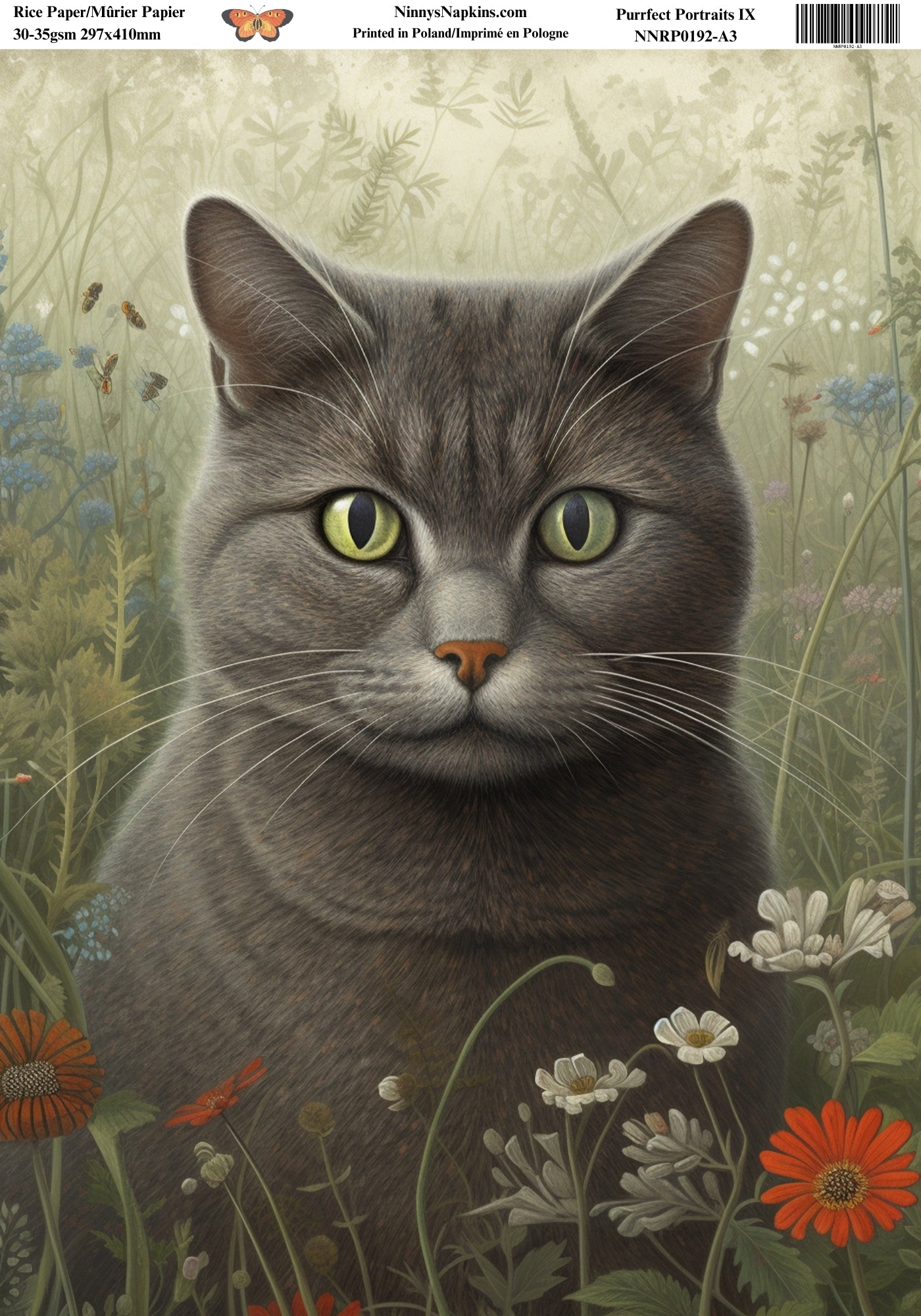 Decoupage Rice Paper - Purrfect Portraits IX