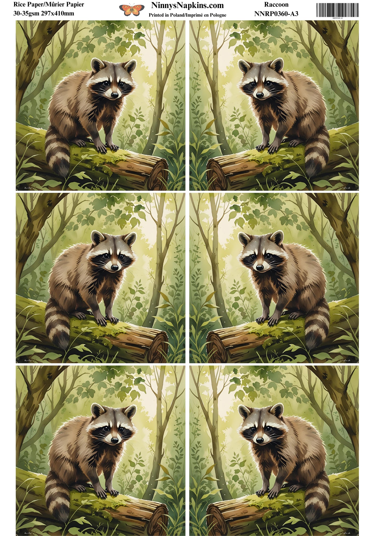 Decoupage Rice Paper - Raccoon