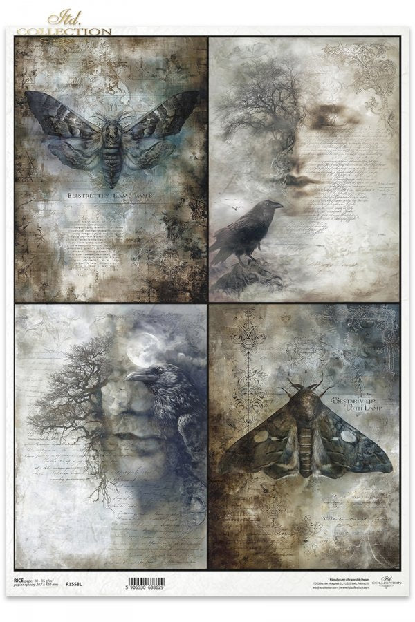 Decoupage Rice Paper - The Watchers II A3