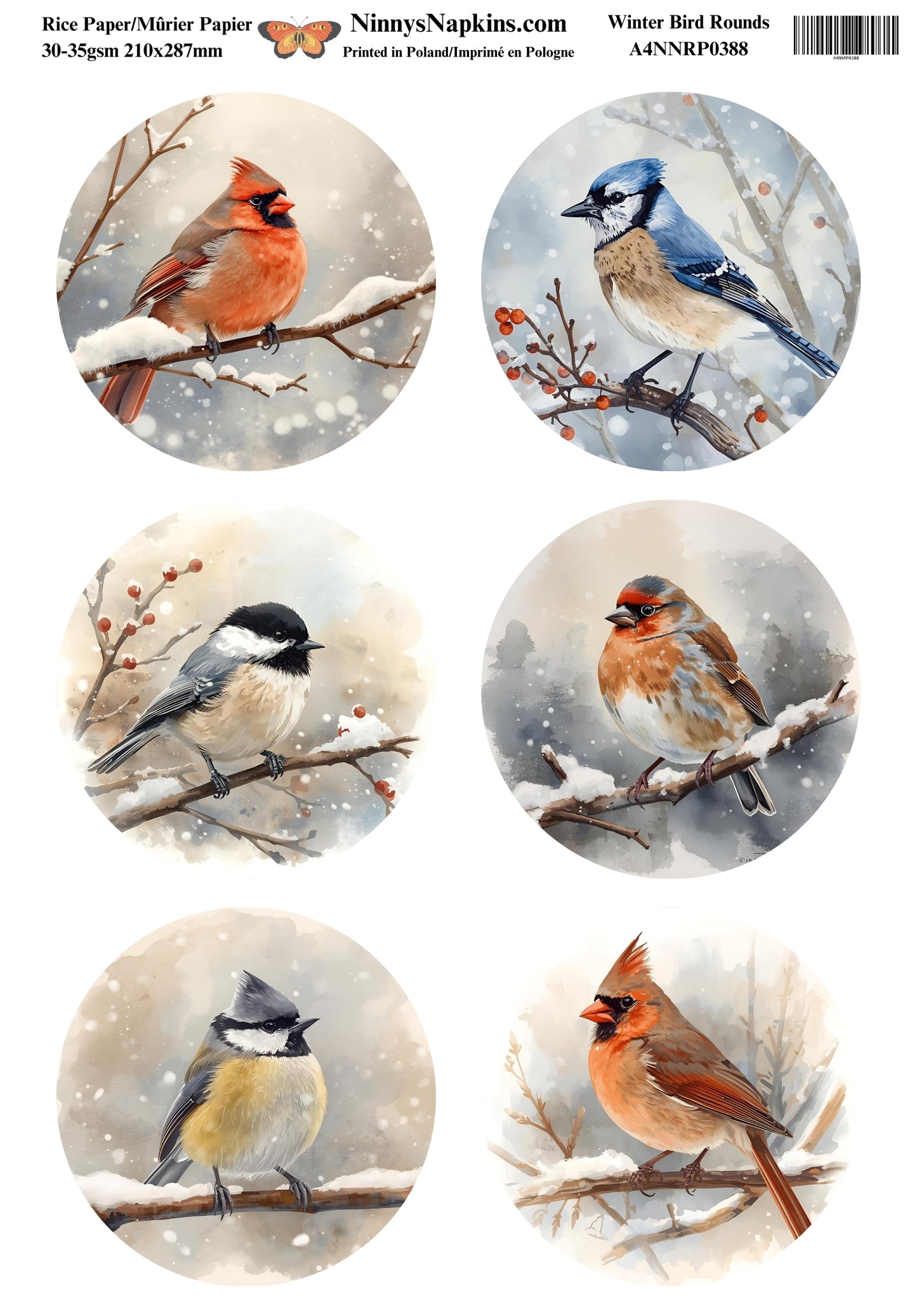 Decoupage Rice Paper - Winter Bird Rounds