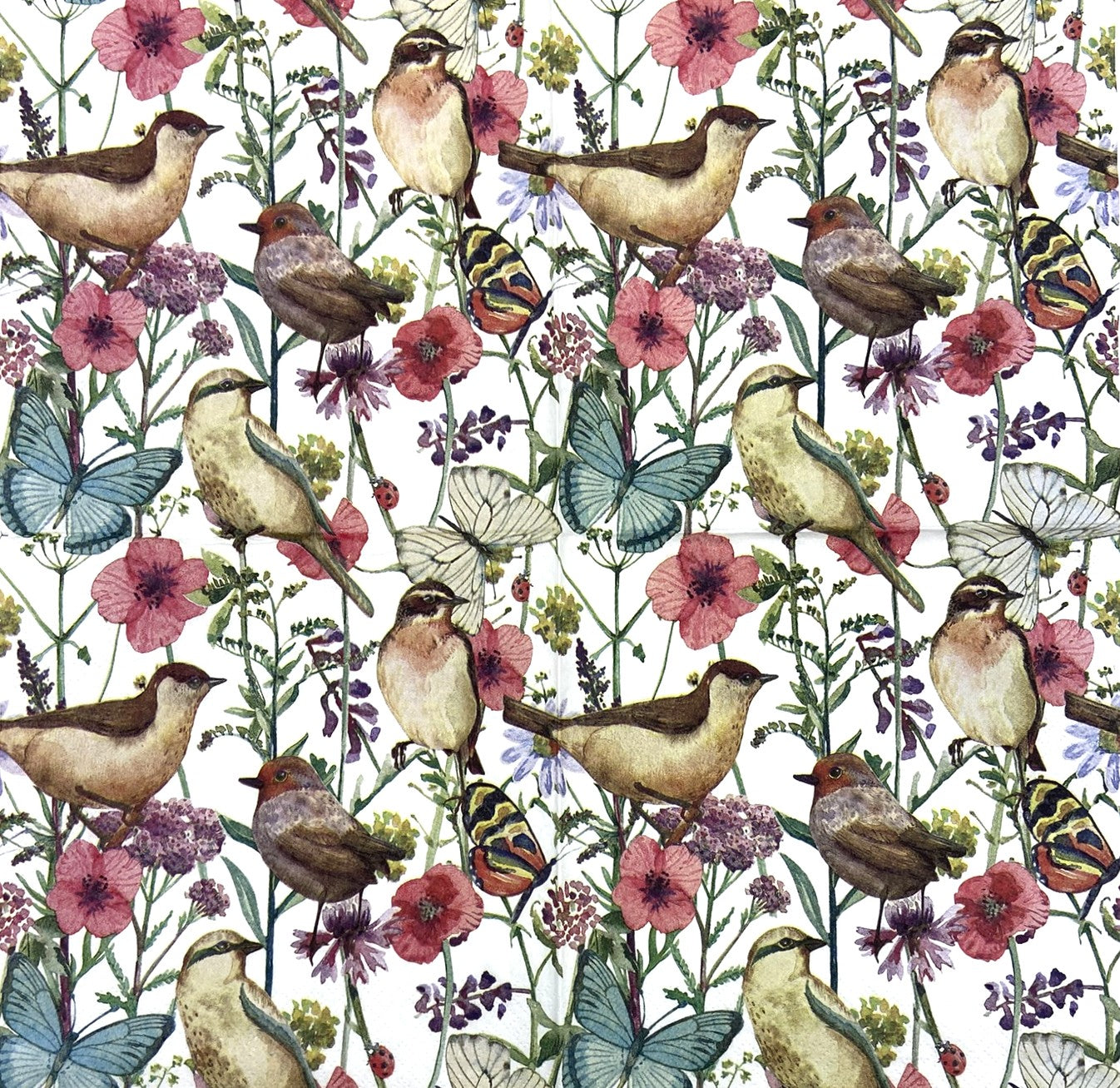 Decoupage Napkins, Lunch 6.5" (2pcs)- Birds in Spring