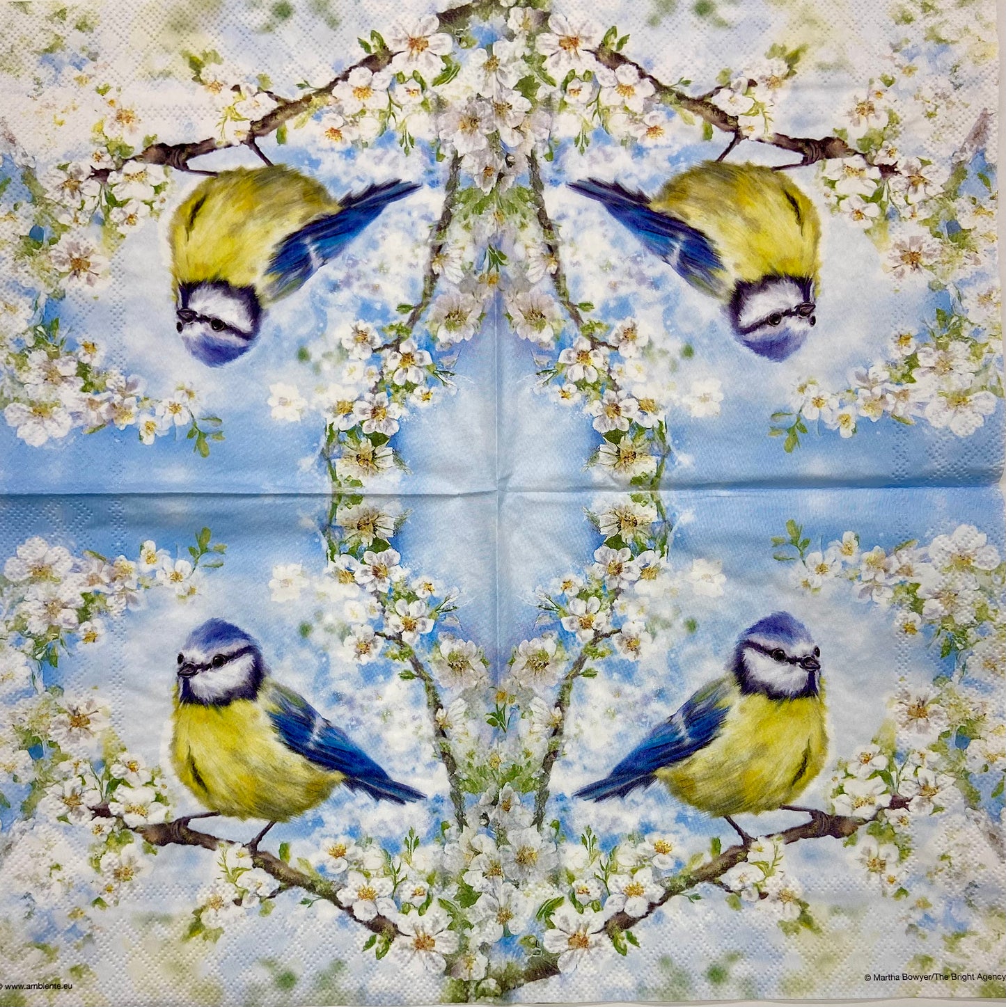 Decoupage Napkins 6.5" (2pcs)- Blossom Time