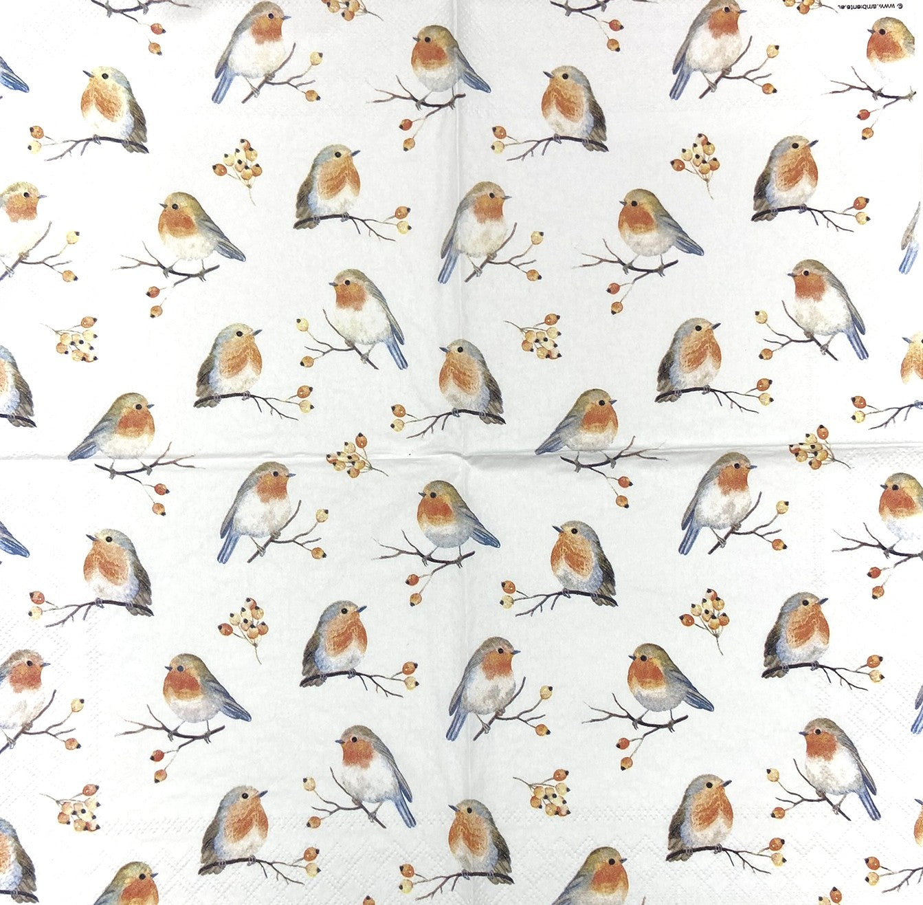 Decoupage Napkins 6.5" (2pcs)- Robin Family
