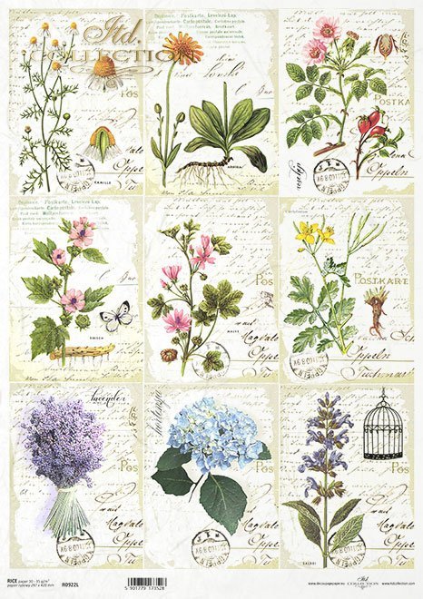 ITD Collection A3 Rice Paper - R0922L