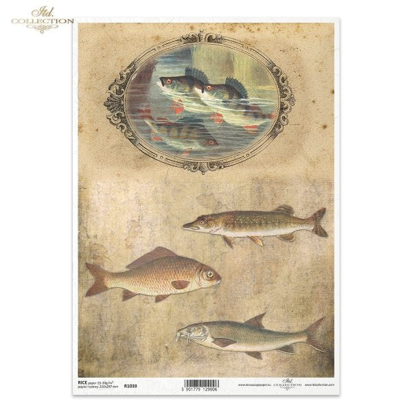ITD Collection A4 Rice Paper - R1039