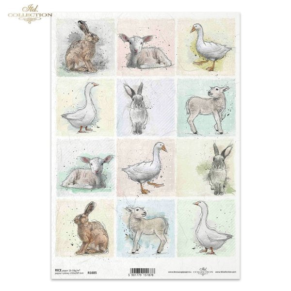 ITD Collection A4 Rice Paper - R1685