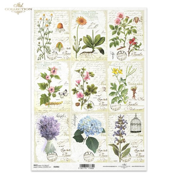 ITD Collection A4 Rice Paper - R2082