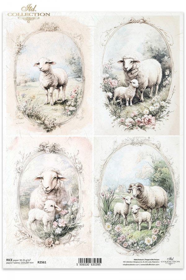 ITD Collection A4 Rice Paper - R2561