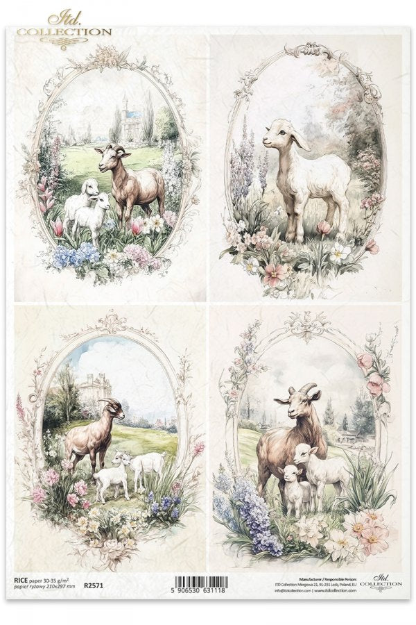 ITD Collection A4 Rice Paper - R2571