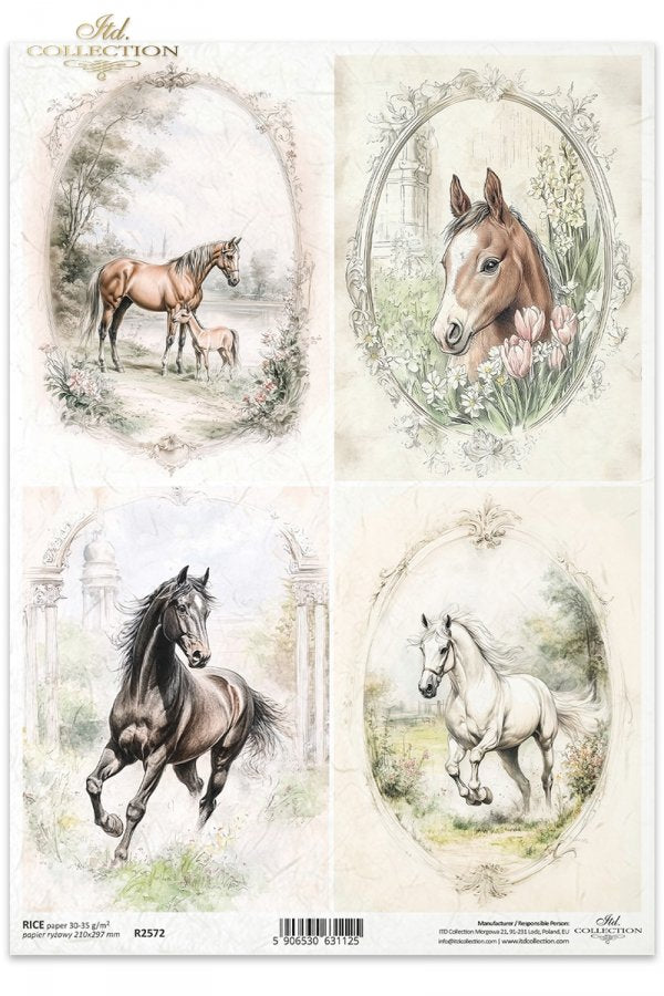 ITD Collection A4 Rice Paper - R2572