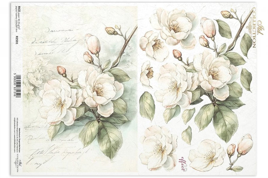 ITD Collection Rice Paper - R2591