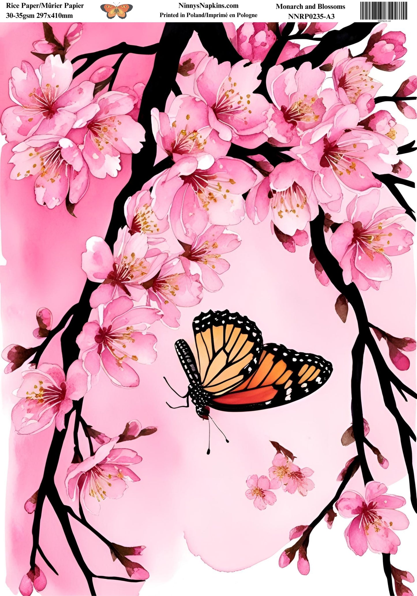 Decoupage Rice Paper - Monarch & Blossoms