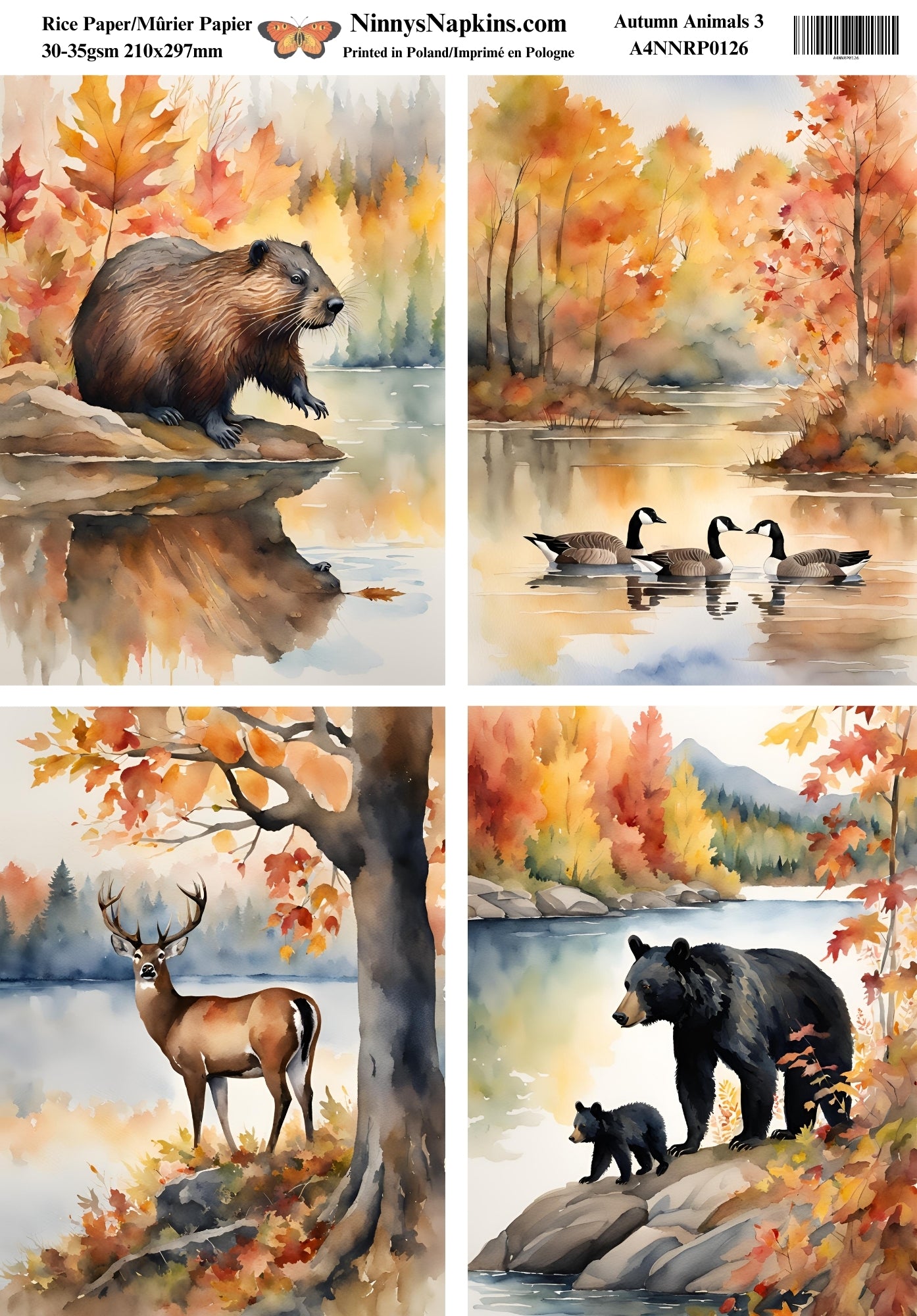 Ninny's Decoupage Rice Paper - Autumn Animals 3