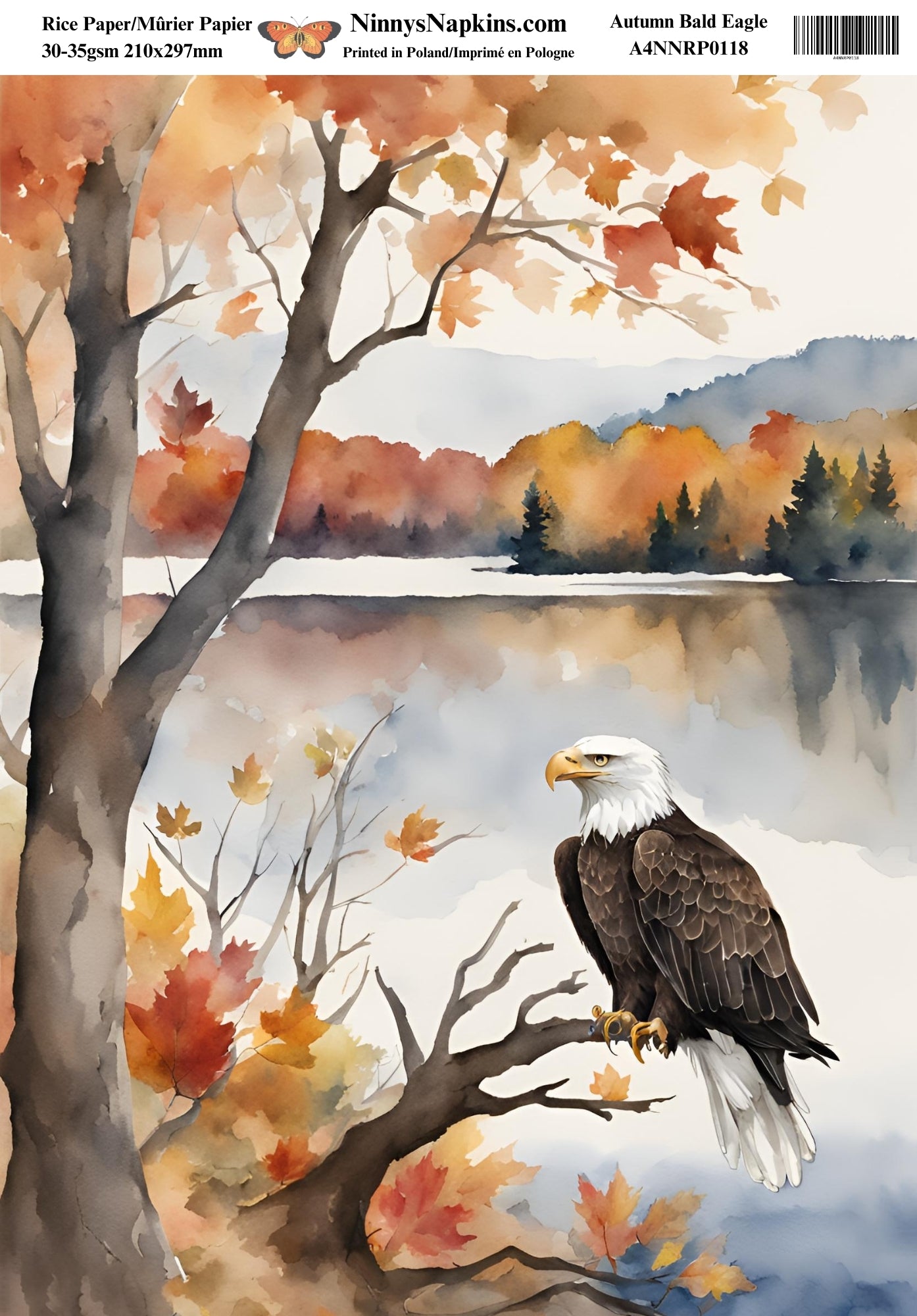 Ninny's Decoupage Rice Paper - Autumn Bald Eagle