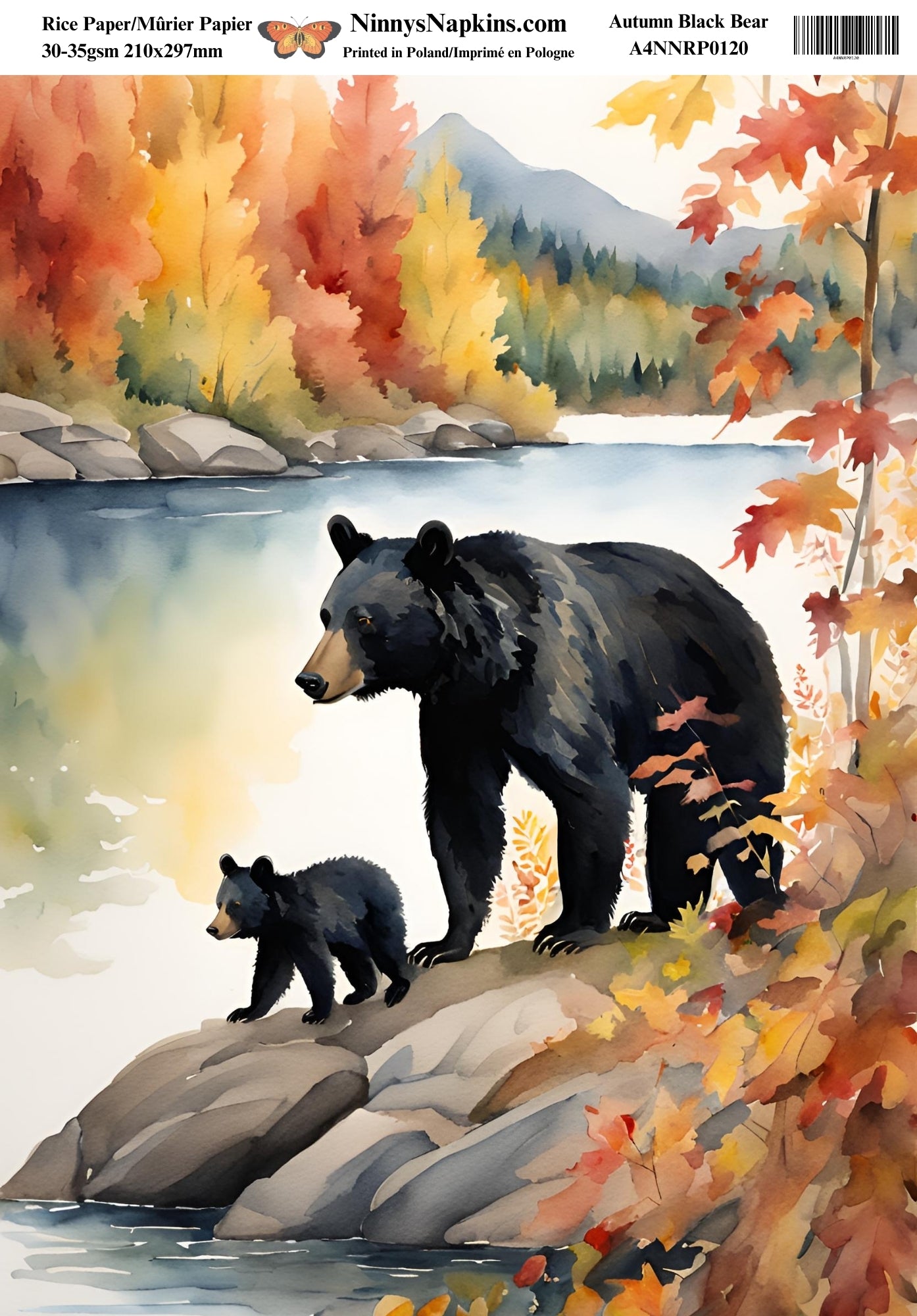 Ninny's Decoupage Rice Paper - Autumn Black Bear
