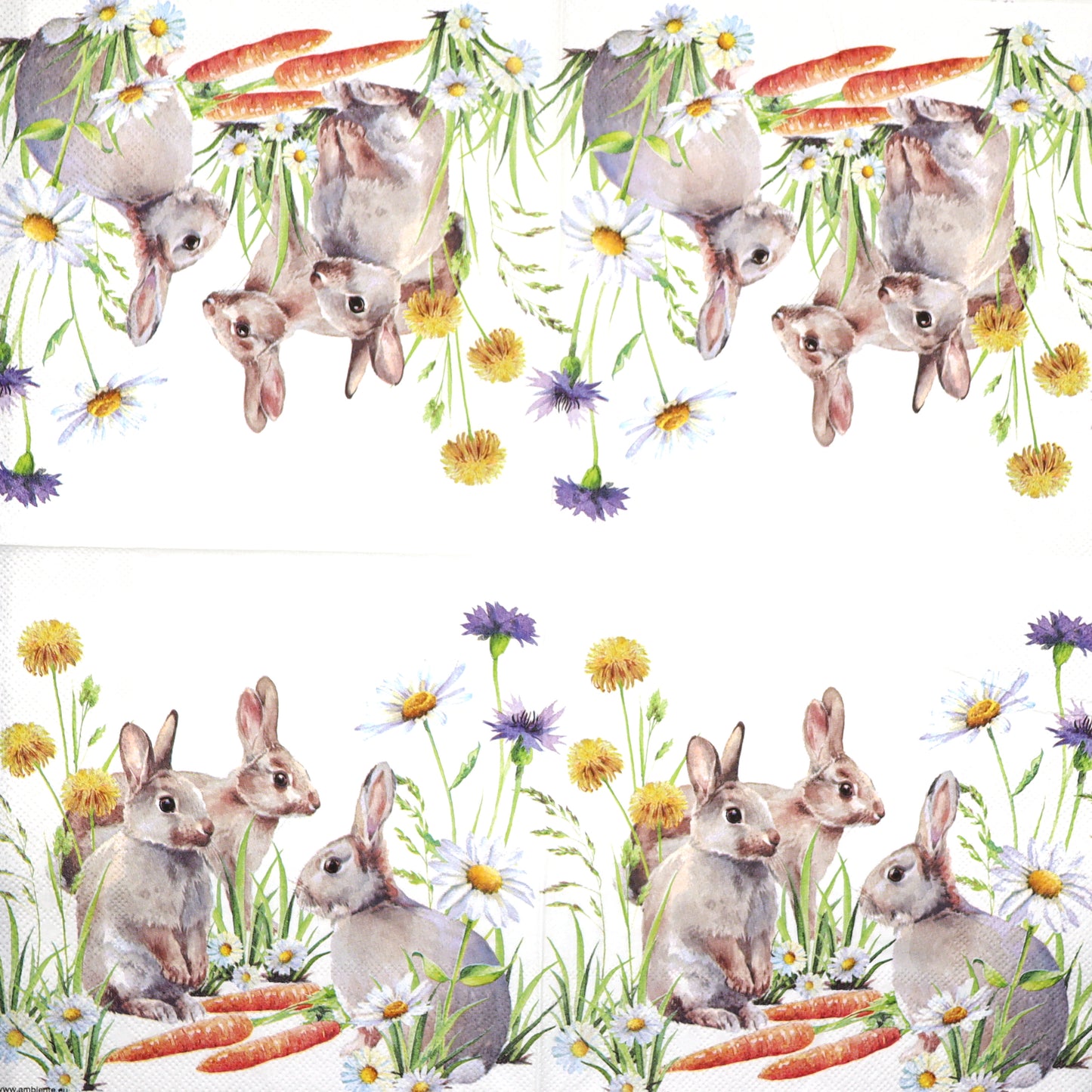 Decoupage Napkins 6.5" - Carrot Treats