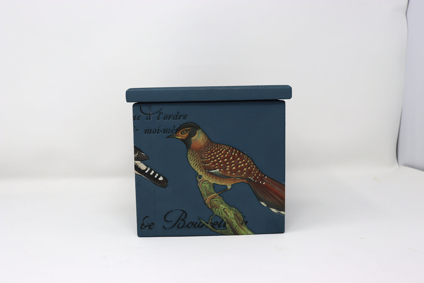 Ornithology Pine Box