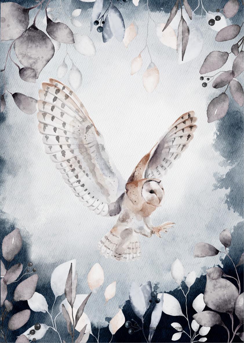 Ninny's Rice Paper A4 - Winter Owl