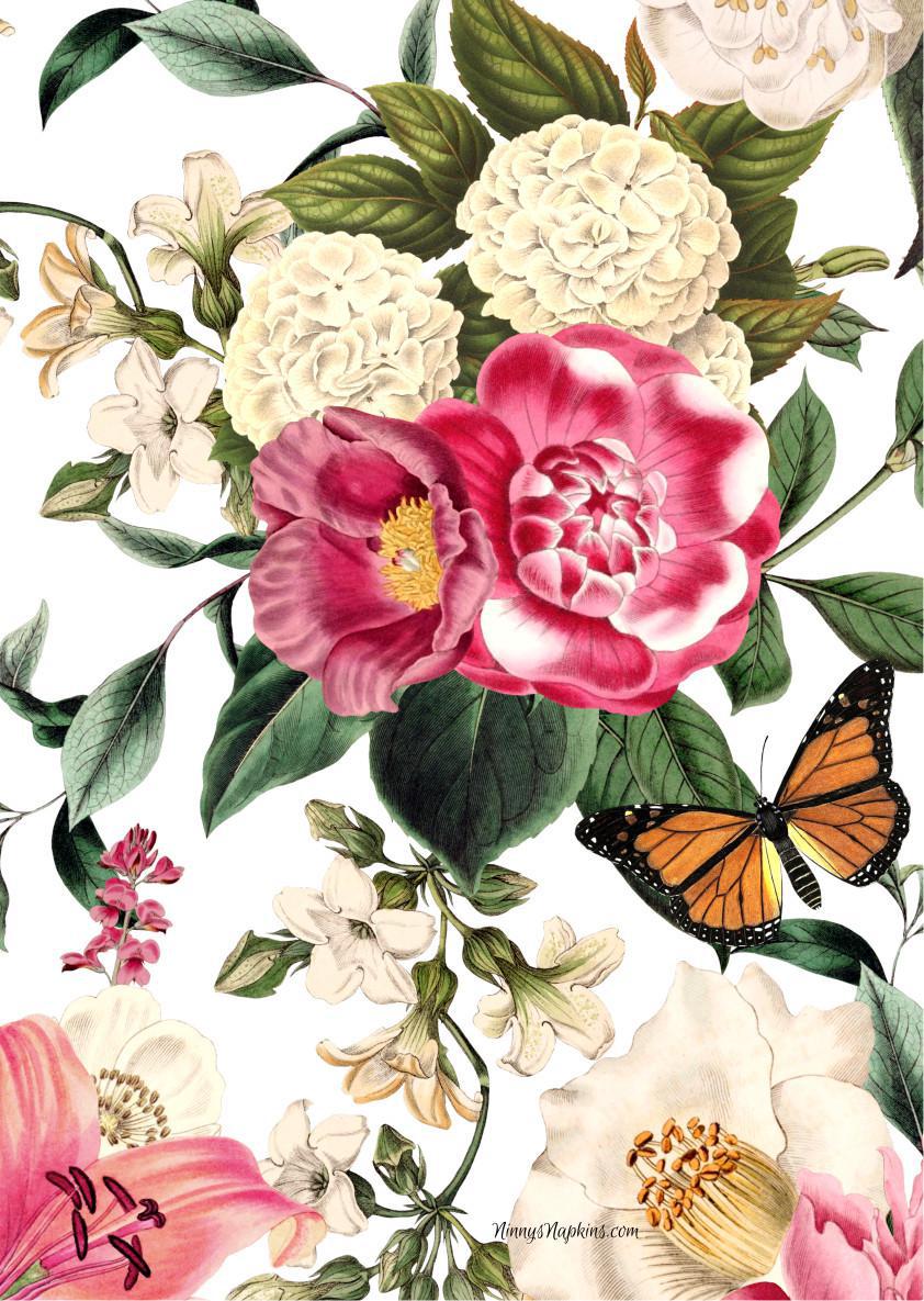 Ninny's Rice Paper A4 - Monarch