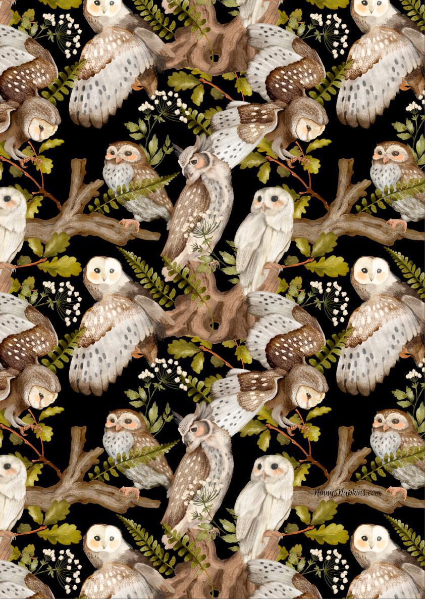 Ninny's Rice Paper A4 - Owl Pattern Black