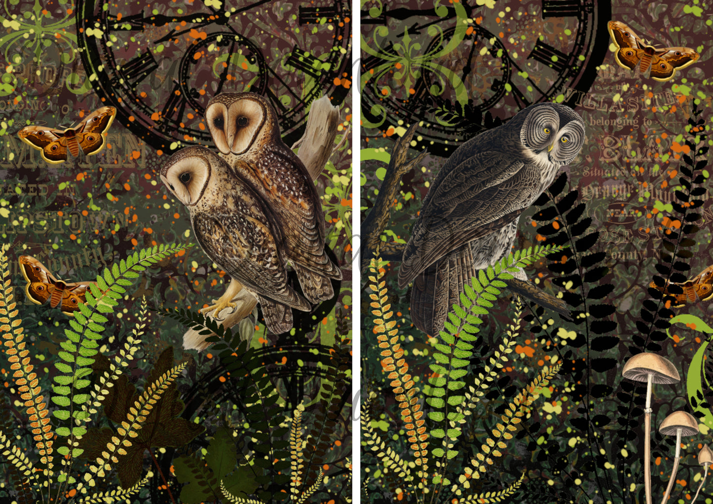 Ninny's Owls Digital Download A4