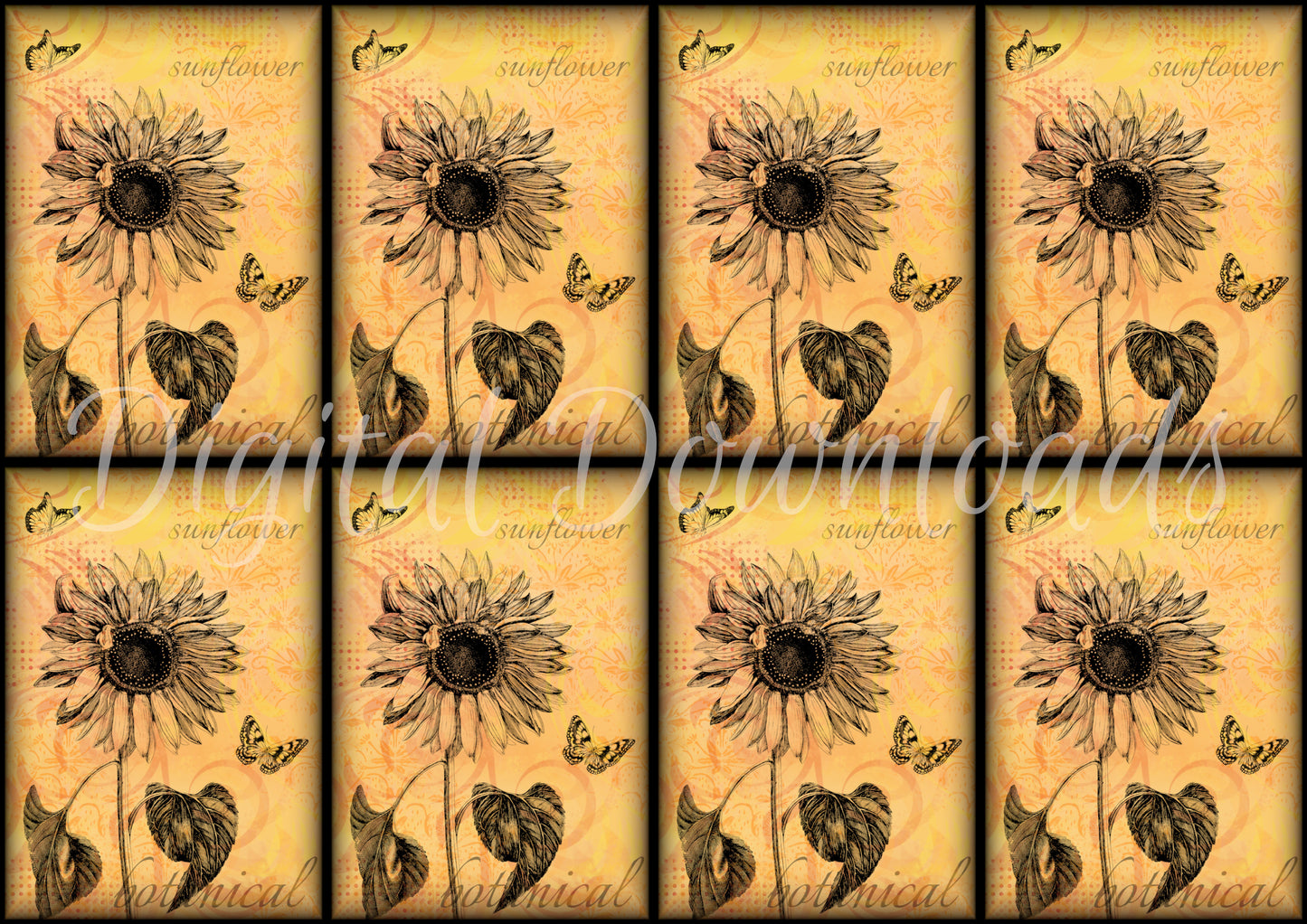 Ninny's Sunflower Vignette Cards Digital Download A4