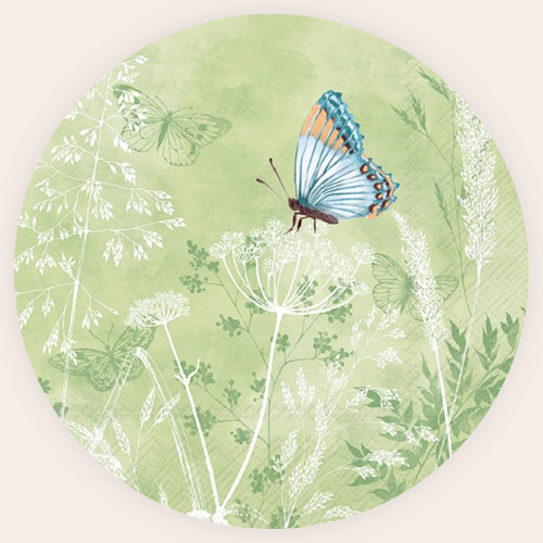 All Products – Ninnys Napkins