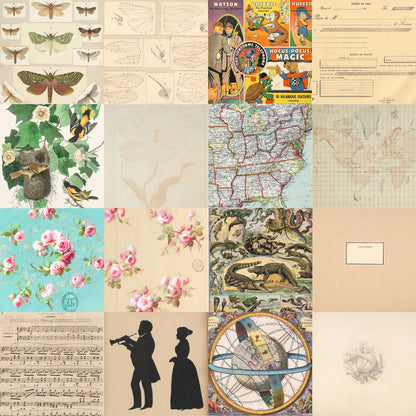 Ephemera Patterned Paper Pack