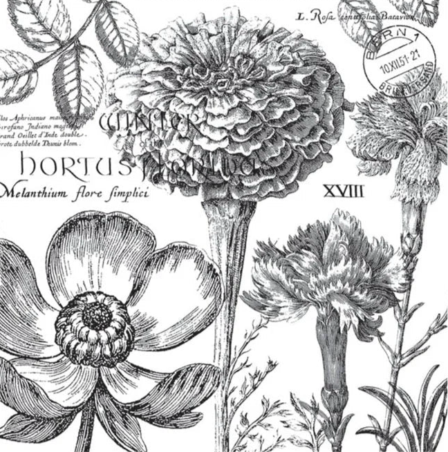 Decoupage Napkins 6.5"  (2pcs)- Flower Noir