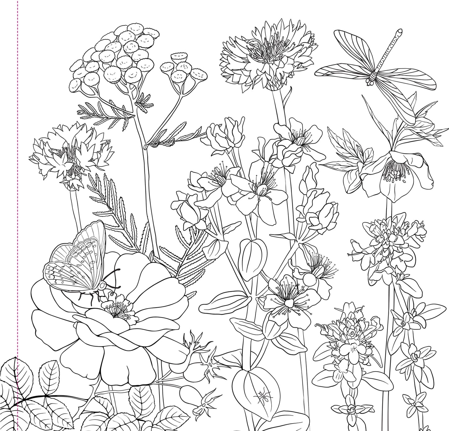 Wildflowers Artist's Coloring Book