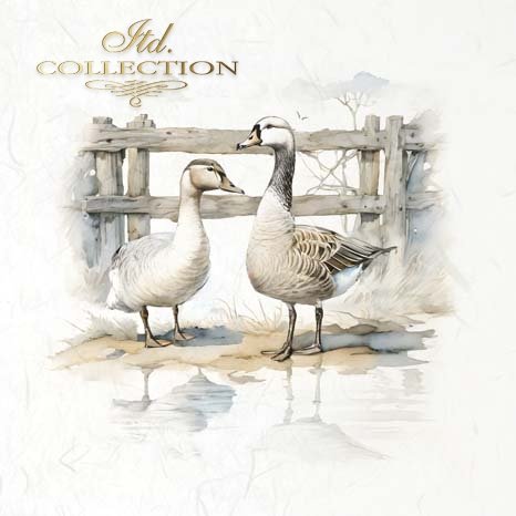ITD Mini Collection Rice Paper Set - Goose, Geese