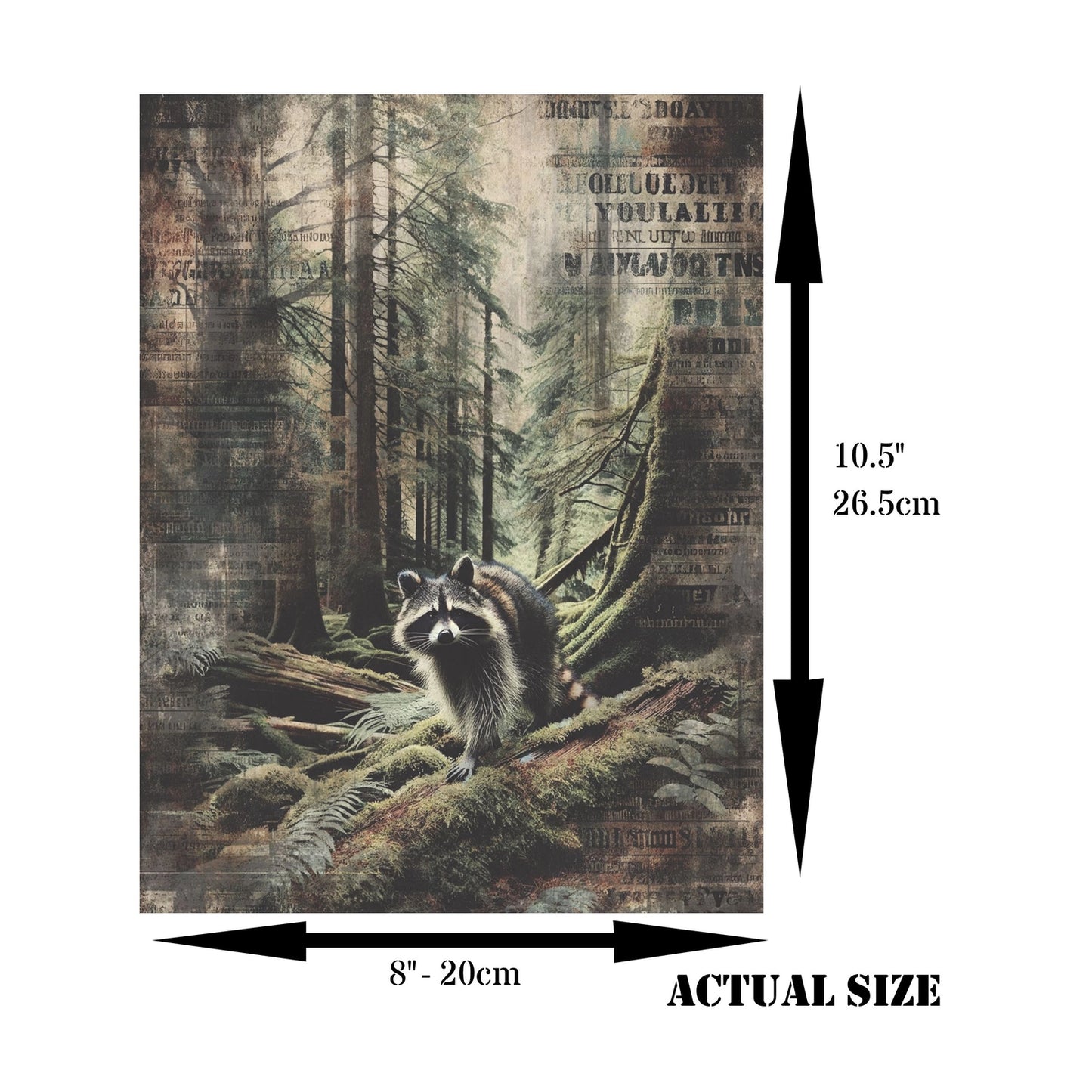 Decoupage Rice Paper Set of 6 - Forest Animals