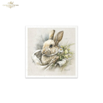 Decoupage Rice Paper Mini Set - Spring Bunnies