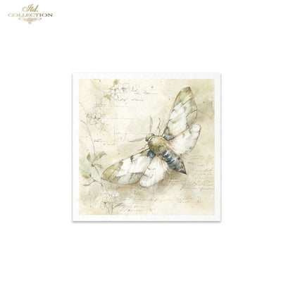 Decoupage Rice Paper Mini Set - Insects