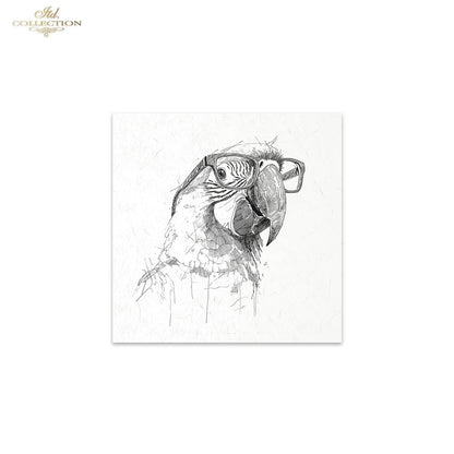 Decoupage Rice Paper Mini Set - Funky Pets