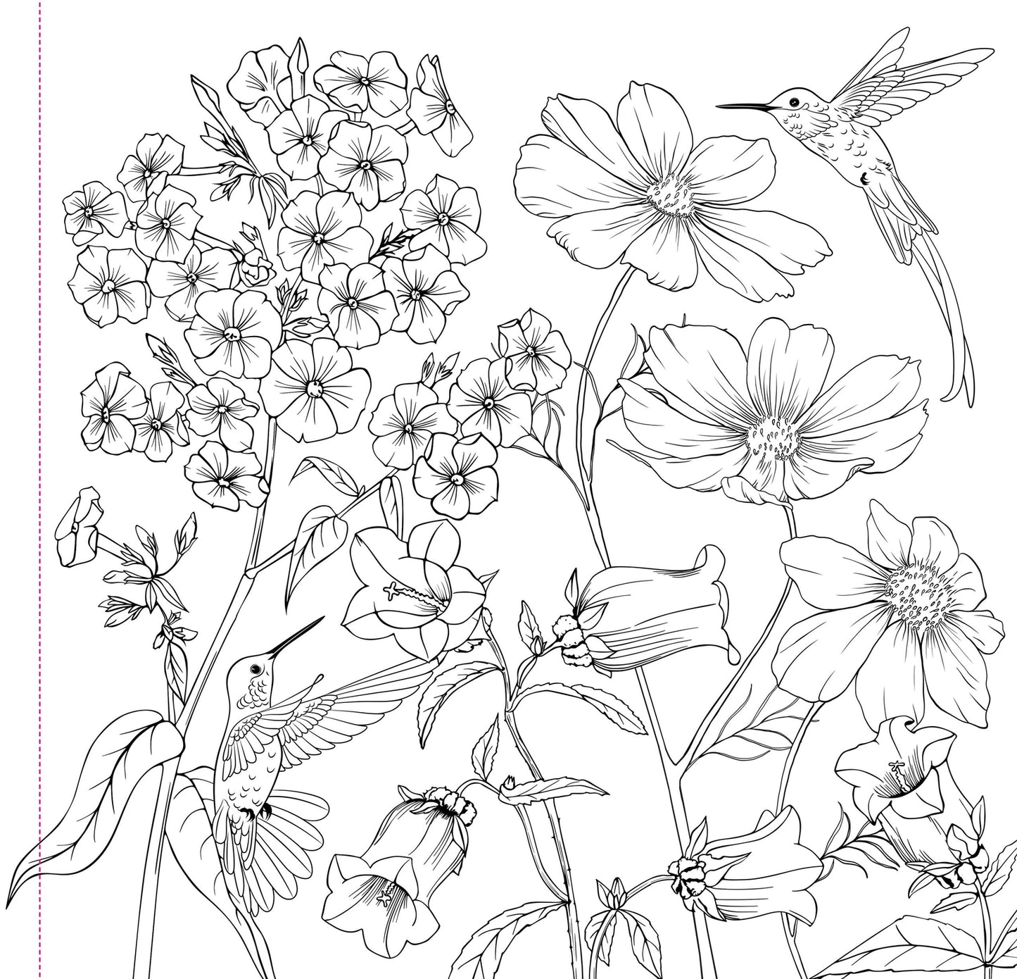 Wildflowers Artist's Coloring Book